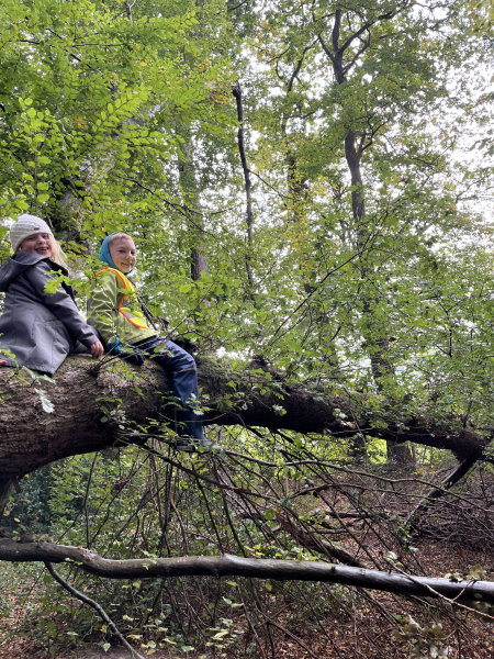 Foto Auf dem Baum